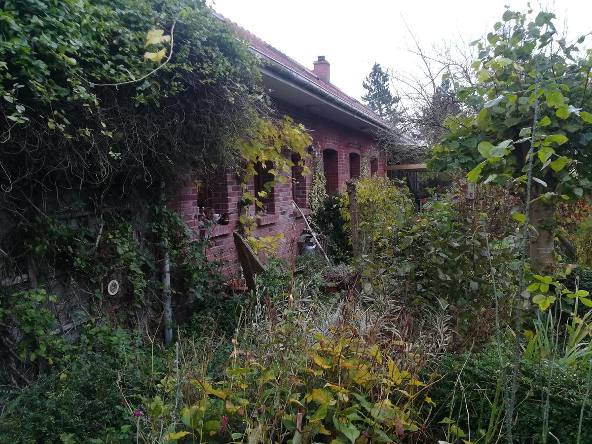 Pantgat Hof Bed & Breakfast Bollezeele Exterior photo