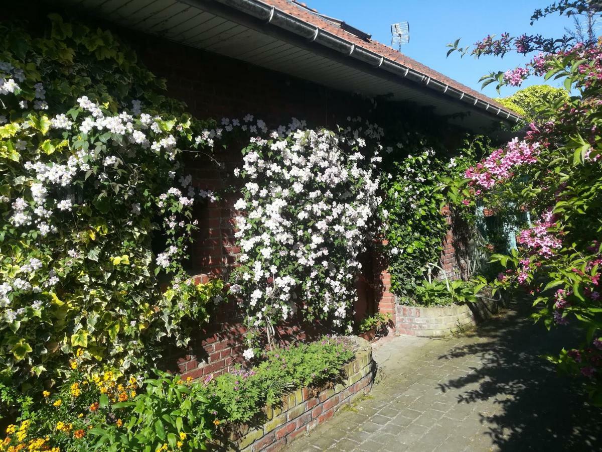 Pantgat Hof Bed & Breakfast Bollezeele Exterior photo